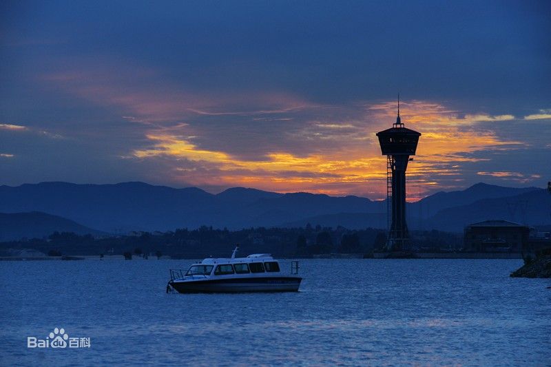 深圳到萊蕪物流公司