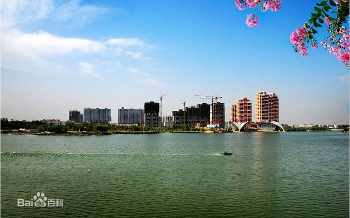 深圳到菏澤物流公司